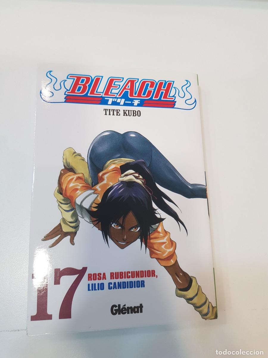 C&oacute;mics: Comic Bleach Glenat N&ordm; 17 - Foto 1