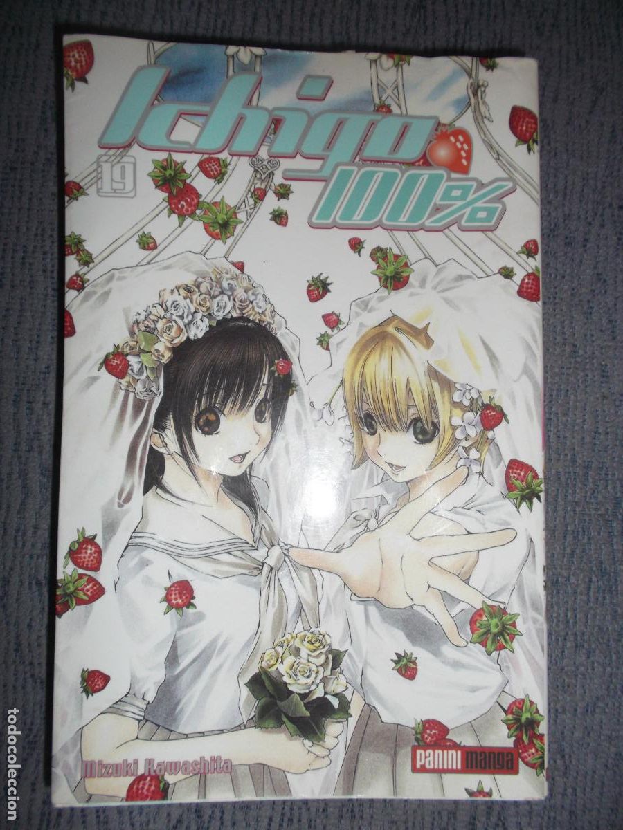 C&oacute;mics: Ichigo 100% N&ordm; 19 (De 19), Mizuki Kawashita