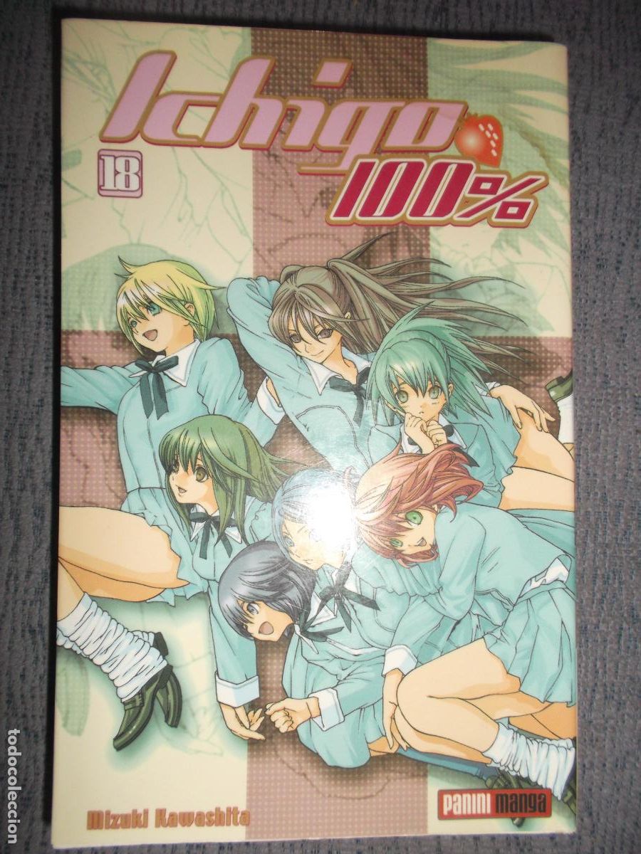 C&oacute;mics: Ichigo 100% N&ordm; 18 (De 19), Mizuki Kawashita
