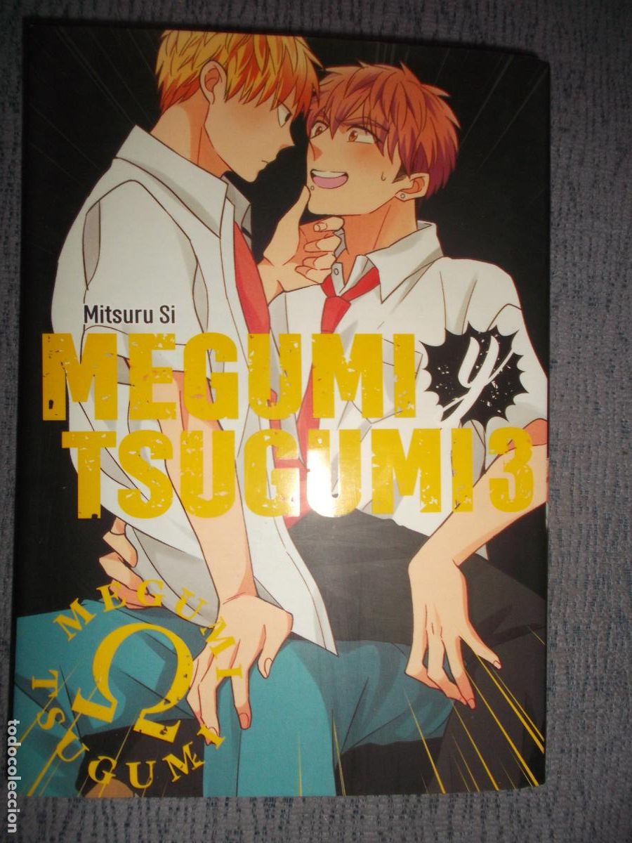 C&oacute;mics: Megumi Y Tsugumi N&ordm; 3, Mitsuru Si