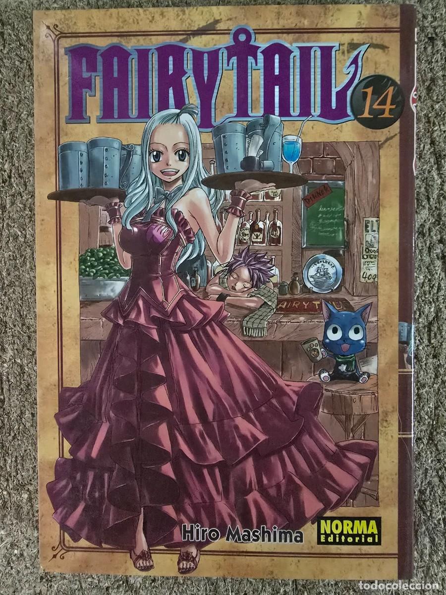 C&oacute;mics: Fairy Tail 14.Hiro Mashima.Editorial Norma - Foto 1
