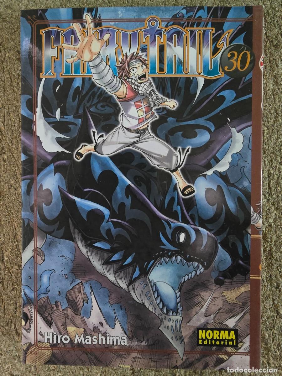 C&oacute;mics: Fairy Tail 30.Hiro Mashima.Editorial Norma - Foto 1
