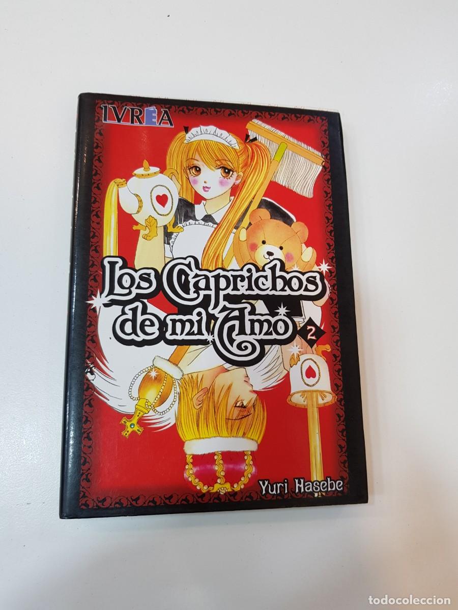 C&oacute;mics: Comic Manga Los caprichos de mi amo N&ordm;2 - Foto 1