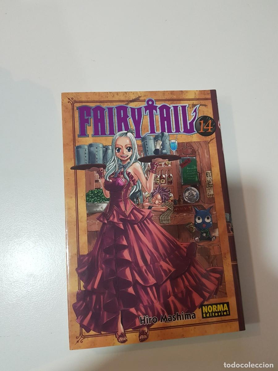 C&oacute;mics: Comic Manga Fairy Tail N&ordm; 14 - Foto 1