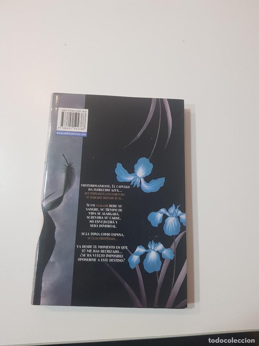C&oacute;mics: Comic manga Black Bird N&ordm; 2 - Foto 2