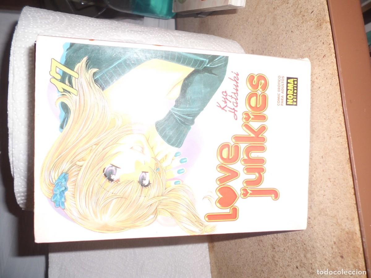 C&oacute;mics: LOVE JUNKIES 17 NORMA