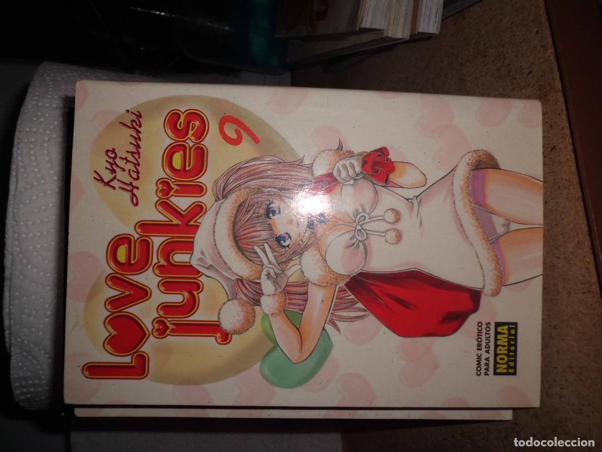 C&oacute;mics: LOVE JUNKIES 9 NORMA