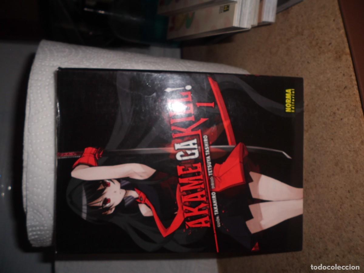 C&oacute;mics: AKAME GA KILL ZERO 1 NORMA