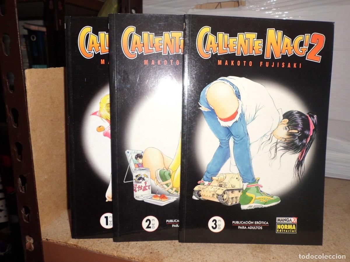 C&oacute;mics: CALIENTE NAGI 2 COMPLETA 3 TOMOS NORMA