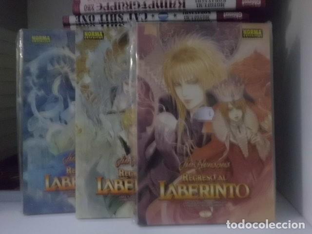 C&oacute;mics: REGRESO AL LBERINTO 1-3-3 NORMA EDITORIAL