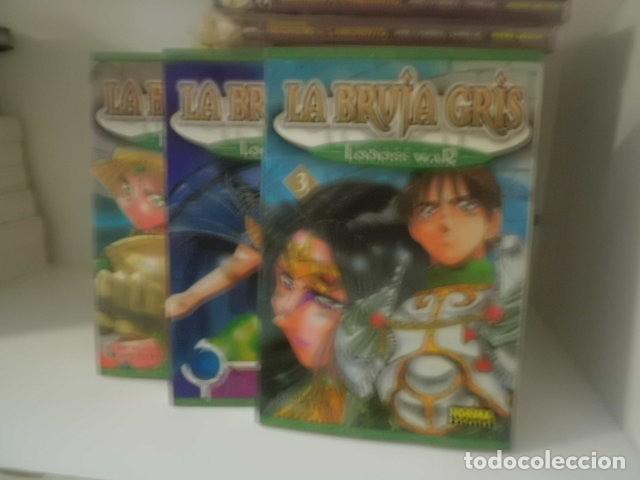 C&oacute;mics: RECORD OF LODOSS WAR. LA BRUJA GRIS COMPLETA 3 TOMOS NORMA EDITORIAL