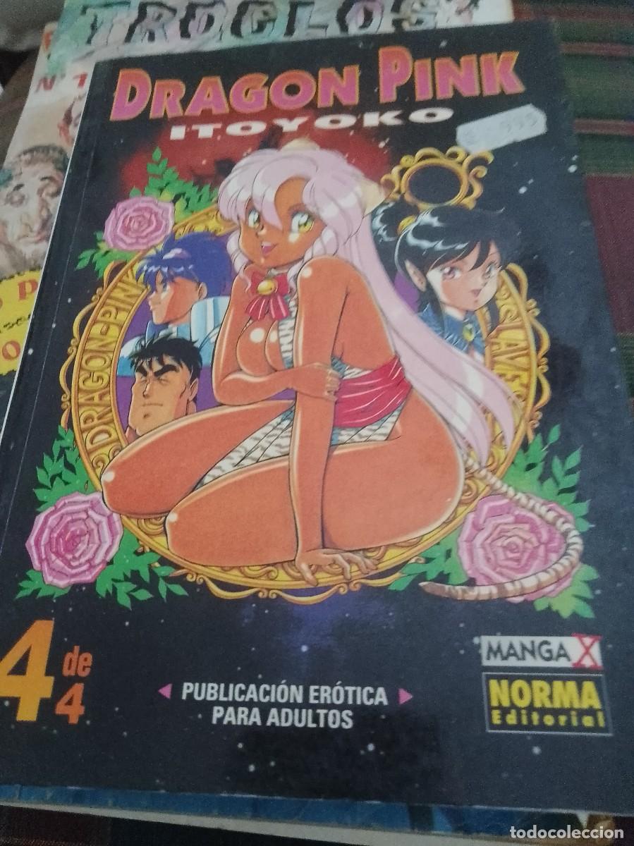 C&oacute;mics: Drag&oacute;n Pink itoyoko manga adulto