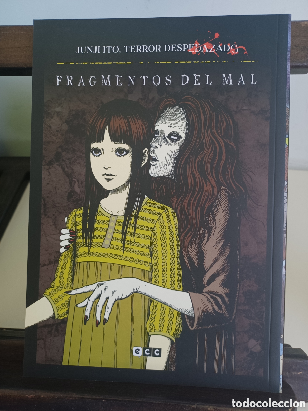 C&oacute;mics: Terror despedazado 5. Fragmentos del mal/ Junji Ito/ ECC/ NUEVO A ESTRENAR