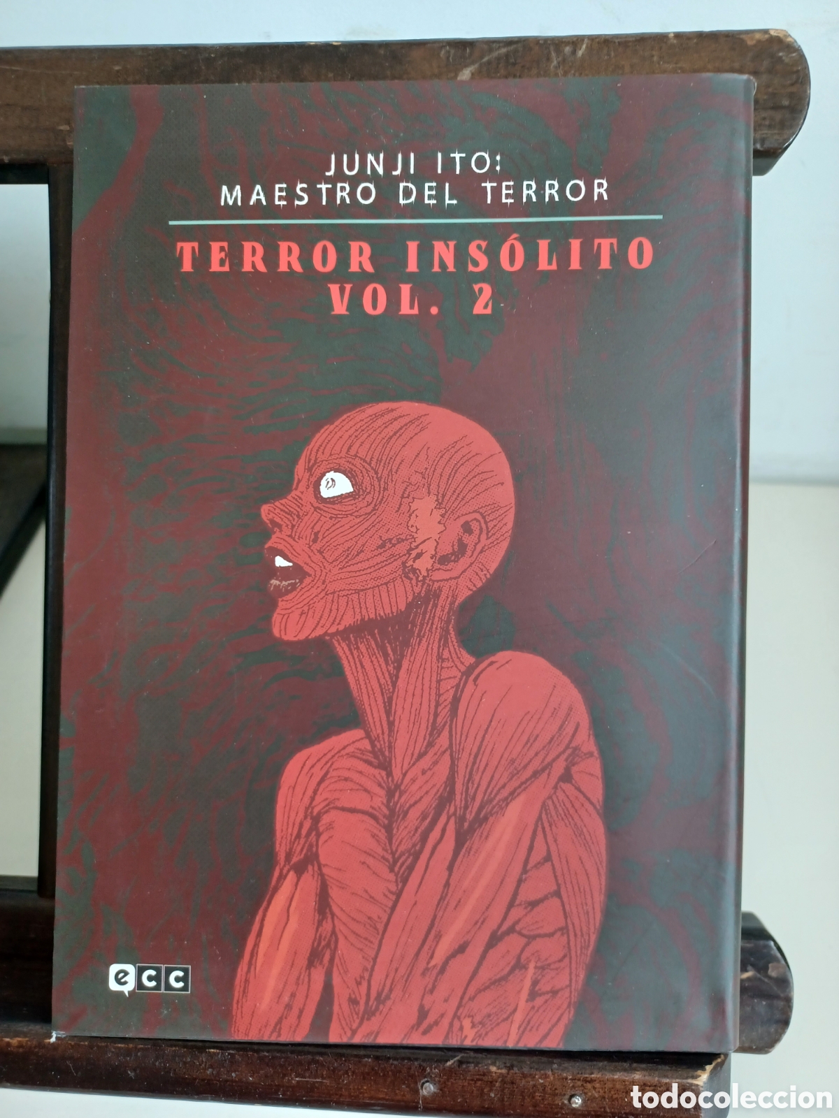 C&oacute;mics: Terror ins&oacute;lito volumen 2/ Junji Ito: maestro del terror/ ECC/ NUEVO A ESTRENAR
