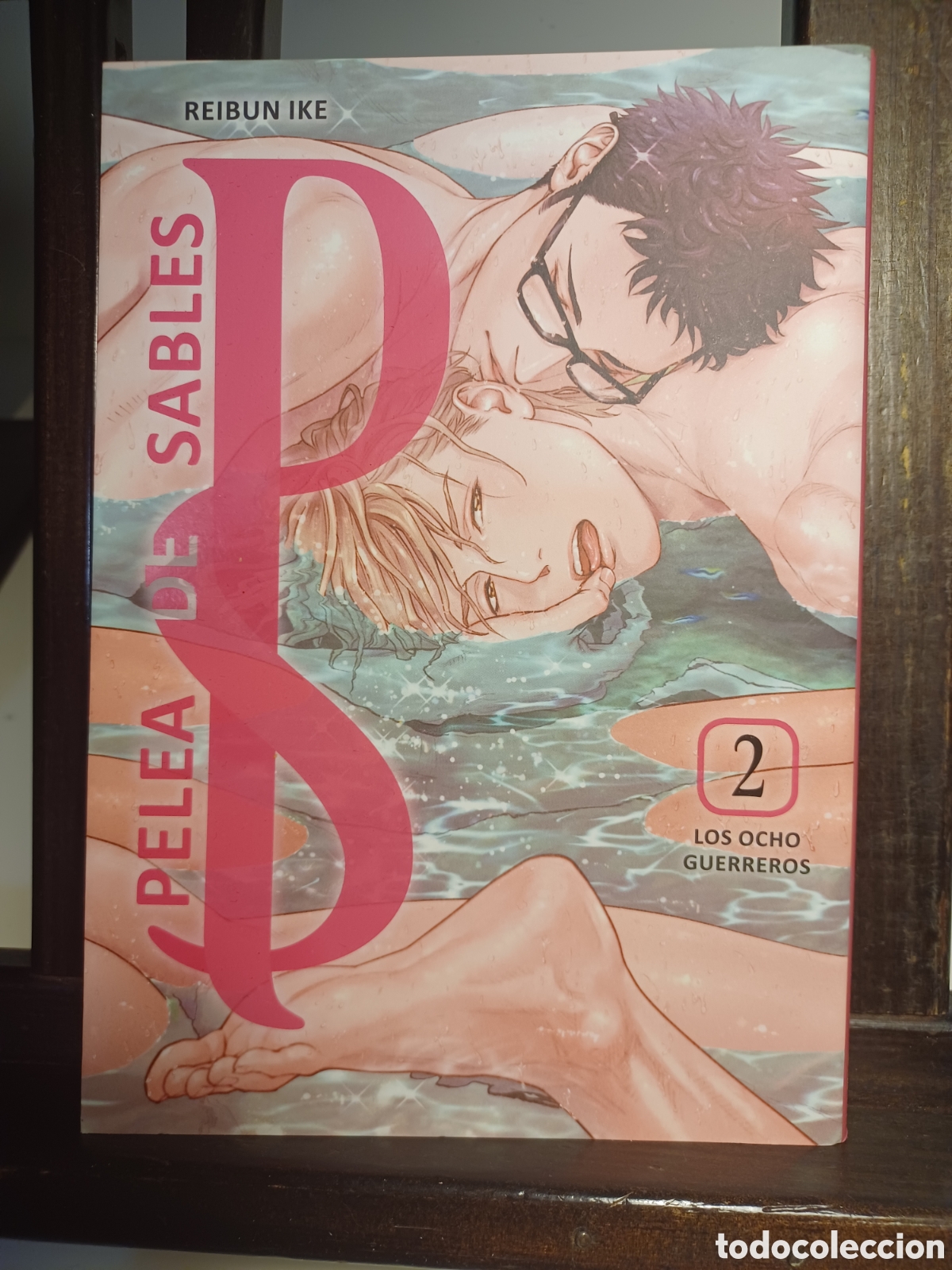 C&oacute;mics: Pelea de sables. Los ocho guerreros 2/ Reibun Ike/ Manga BL/ Arechi/ NUEVO A ESTRENAR
