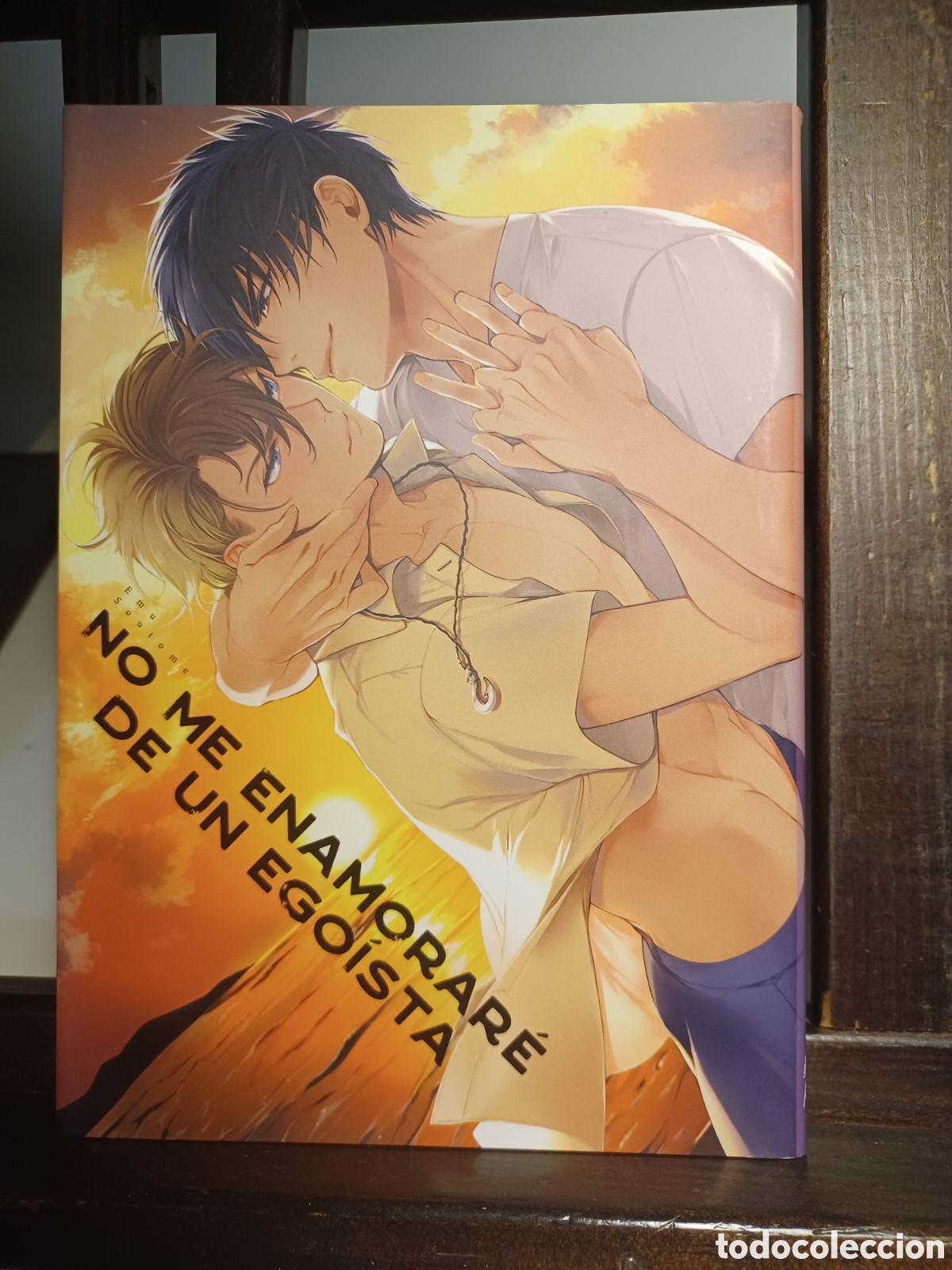 C&oacute;mics: No me enamorar&eacute; de un ego&iacute;sta/ Historia completa/ Emu Soutume/ Manga BL/ Arechi/ NUEVO A ESTRENAR