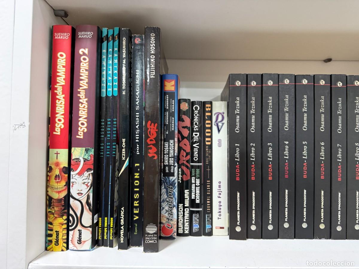 C&oacute;mics: Kamikaze (Tomos 1, 2 y 3) - Satoshi Shiki