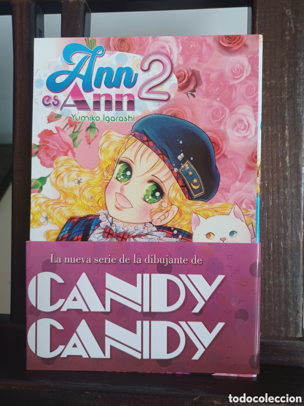 C&oacute;mics: Ann es Ann 2/ Yumiko Igarashi/ Manga Shōjo/ Arechi/ NUEVO A ESTRENAR