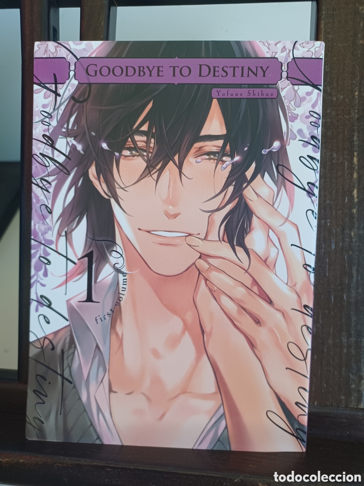 C&oacute;mics: Goodbye to destiny 1 de 2/ Yofune Shibue/ Manga BL/ Arechi/ NUEVO A ESTRENAR