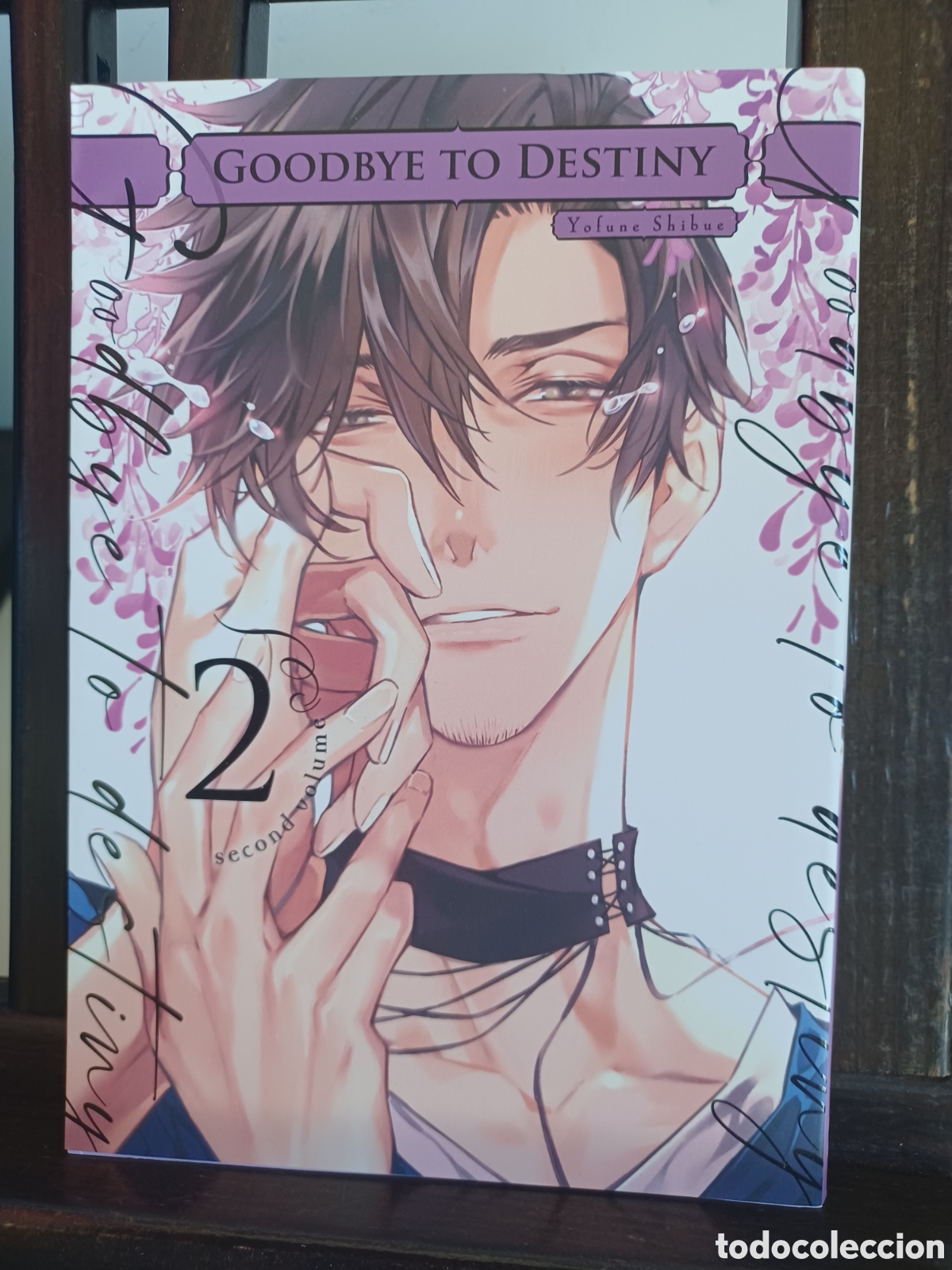 C&oacute;mics: Goodbye to destiny 2 de 2/ Yofune Shibue/ Manga BL/ Arechi/ NUEVO A ESTRENAR