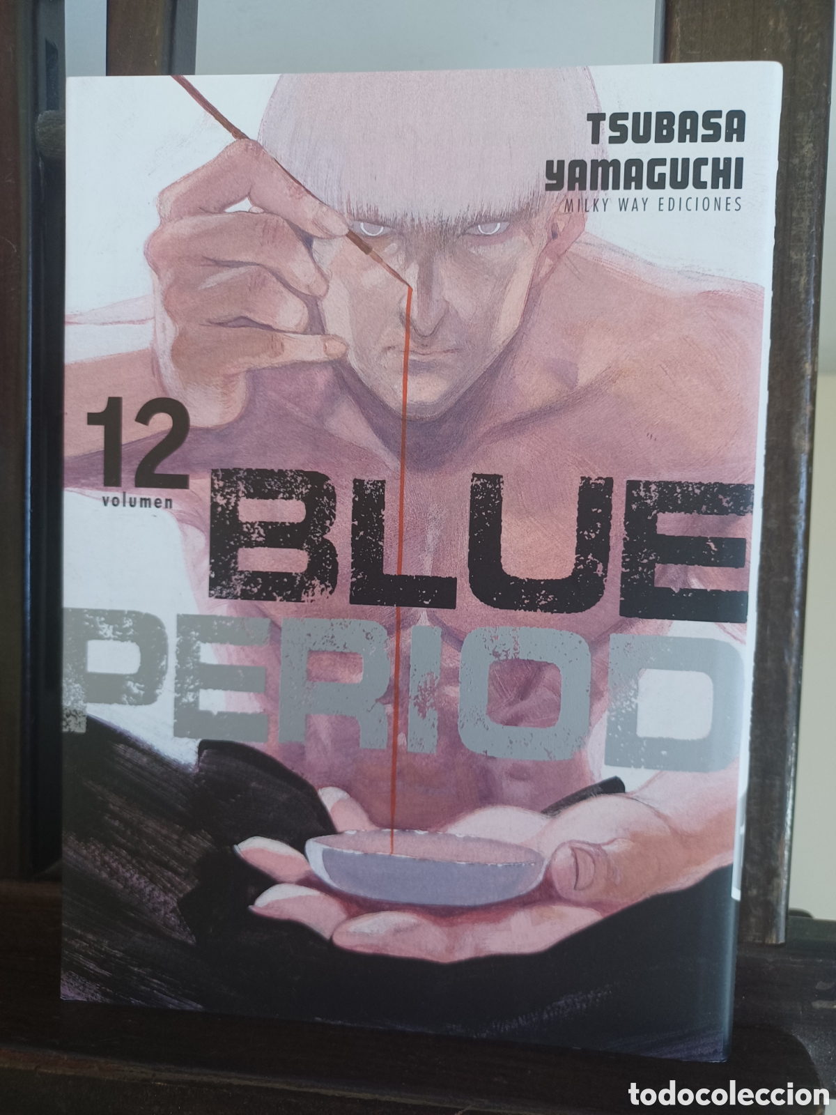 C&oacute;mics: Blue Period 12/ Tsubasa Yamaguchi/ Milky Way/ NUEVO A ESTRENAR