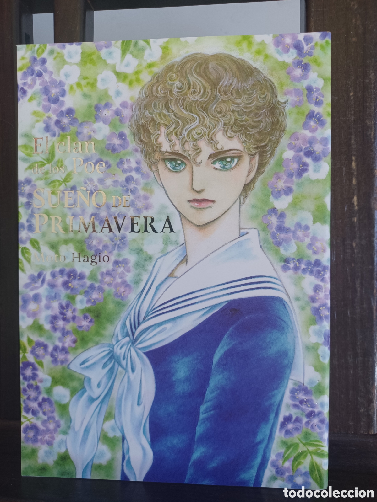 Comics: El Clan de los Poe. Sue&ntilde;o de primavera. Historia completa/ Moto Hagio/ Tomodomo/ NUEVO A ESTRENAR