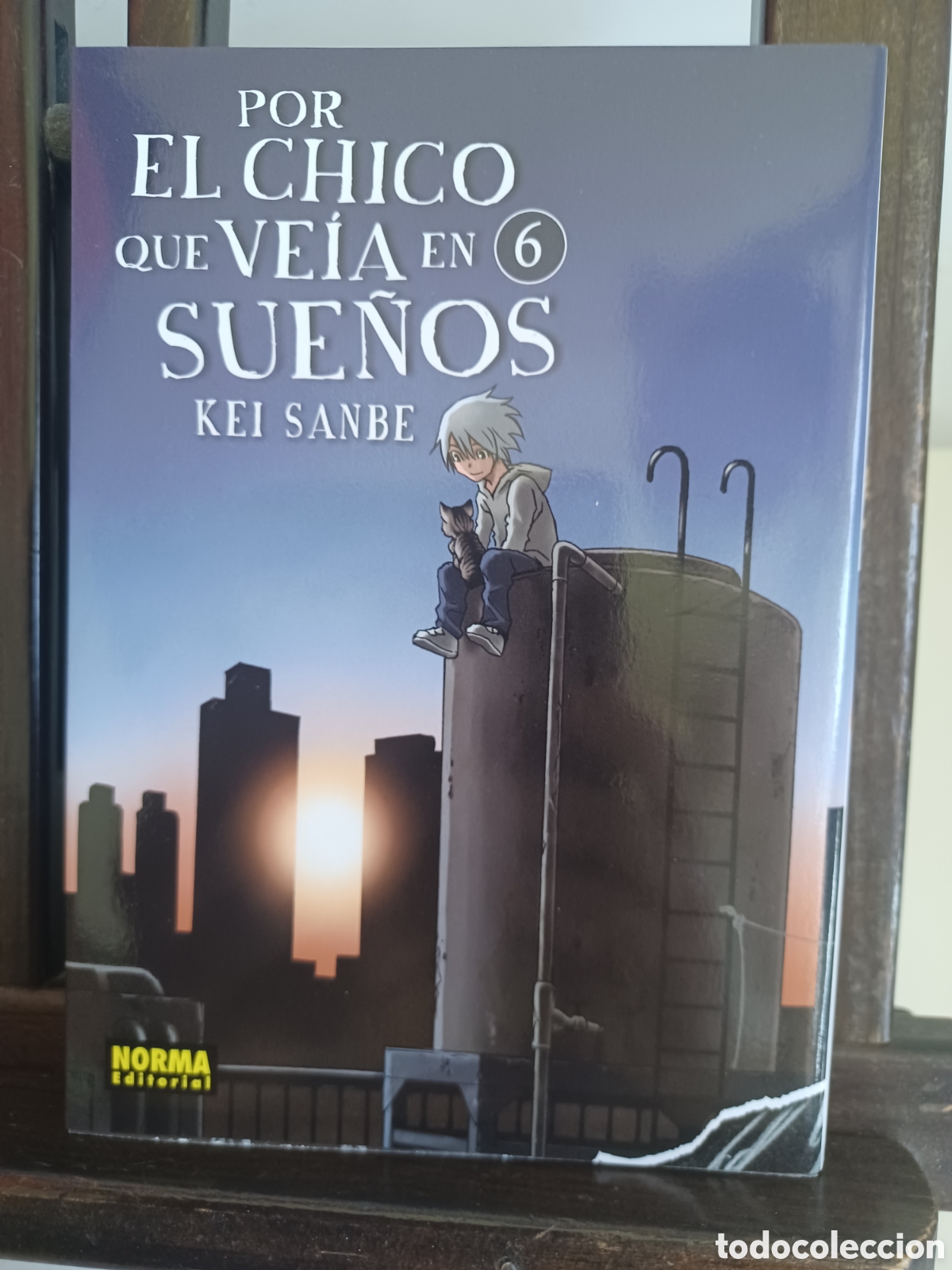 Comics: Por el chico que ve&iacute;a en sue&ntilde;os 6/ Keith Sanbe/ Seinen/ Norma/ NUEVO A ESTRENAR