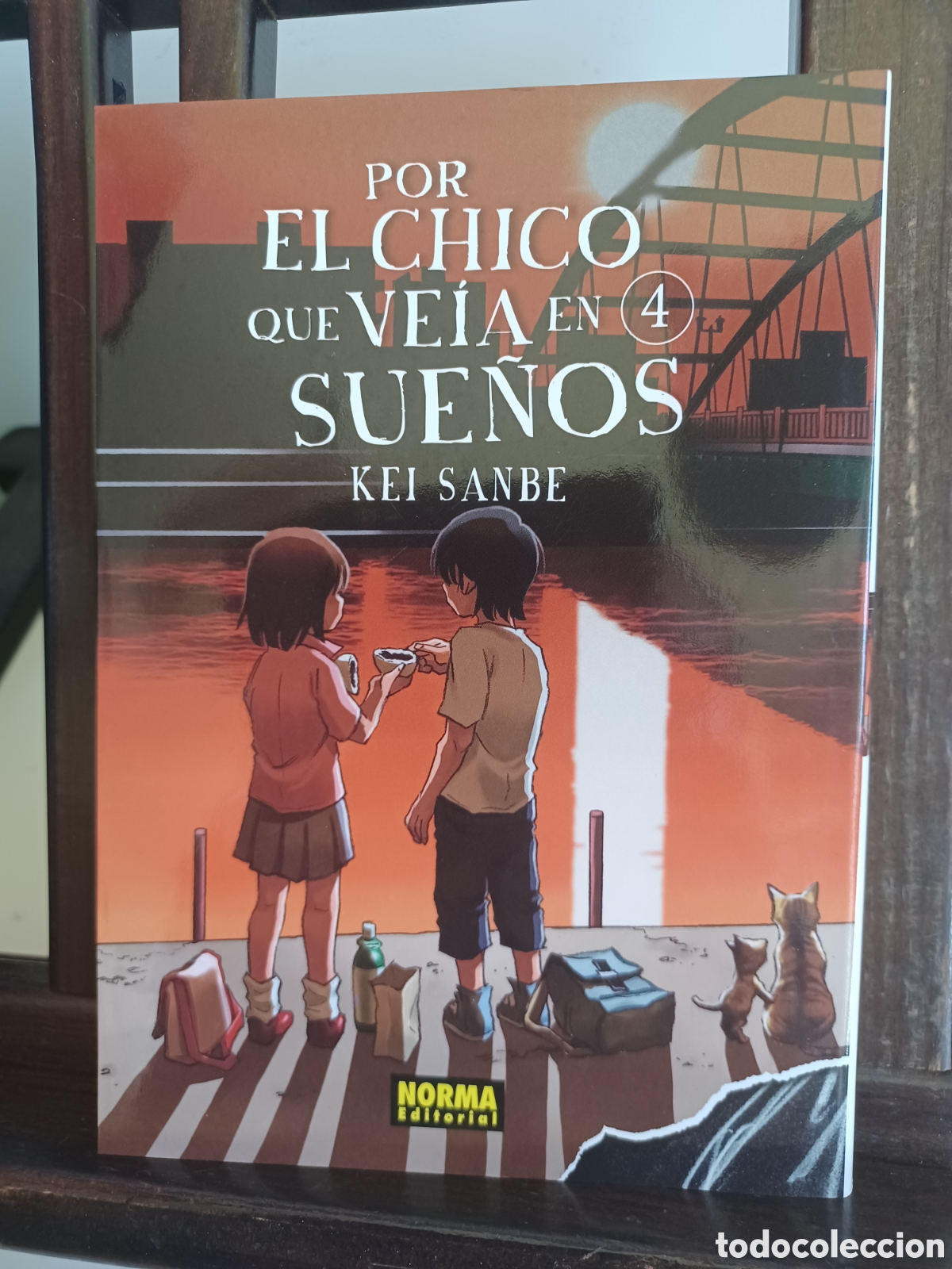 Comics: Por el chico que ve&iacute;a en sue&ntilde;os 4/ Kei Sanbe/ Seinen/ Norma/ NUEVO A ESTRENAR