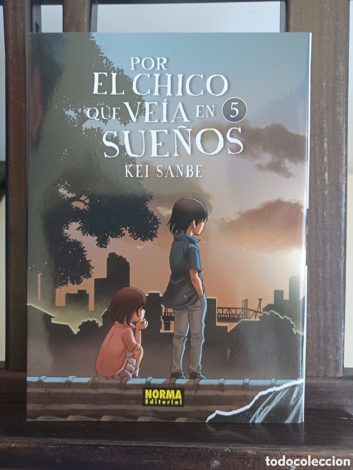 C&oacute;mics: Por el chico que ve&iacute;a en sue&ntilde;os 5/ Kein Sanbe/ Seinen/ Norma/ NUEVO A ESTRENAR