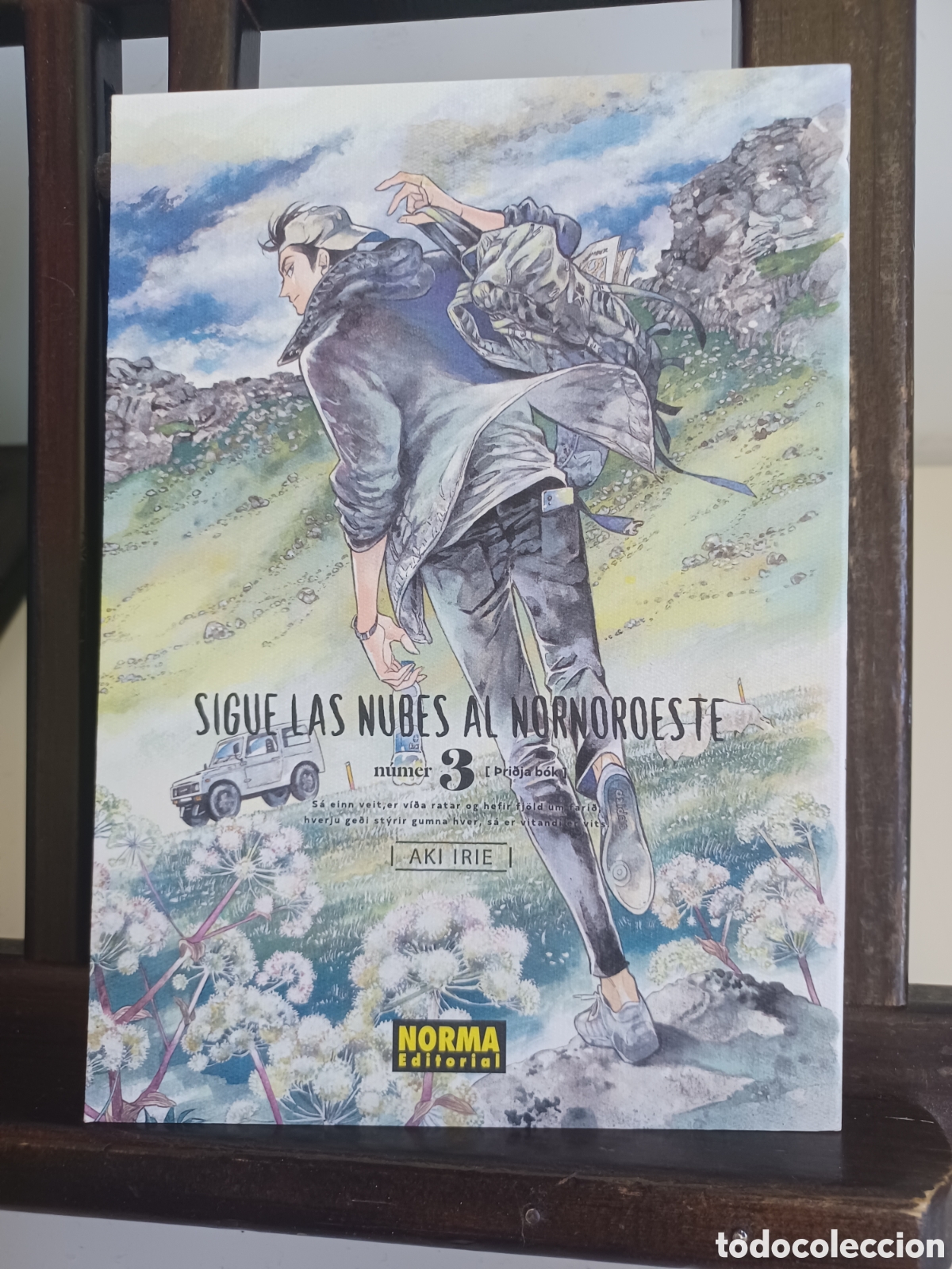 C&oacute;mics: Sigue las nubes al nornoroeste/ Akie Irie/ Seinen/ Norma/ NUEVO A ESTRENAR