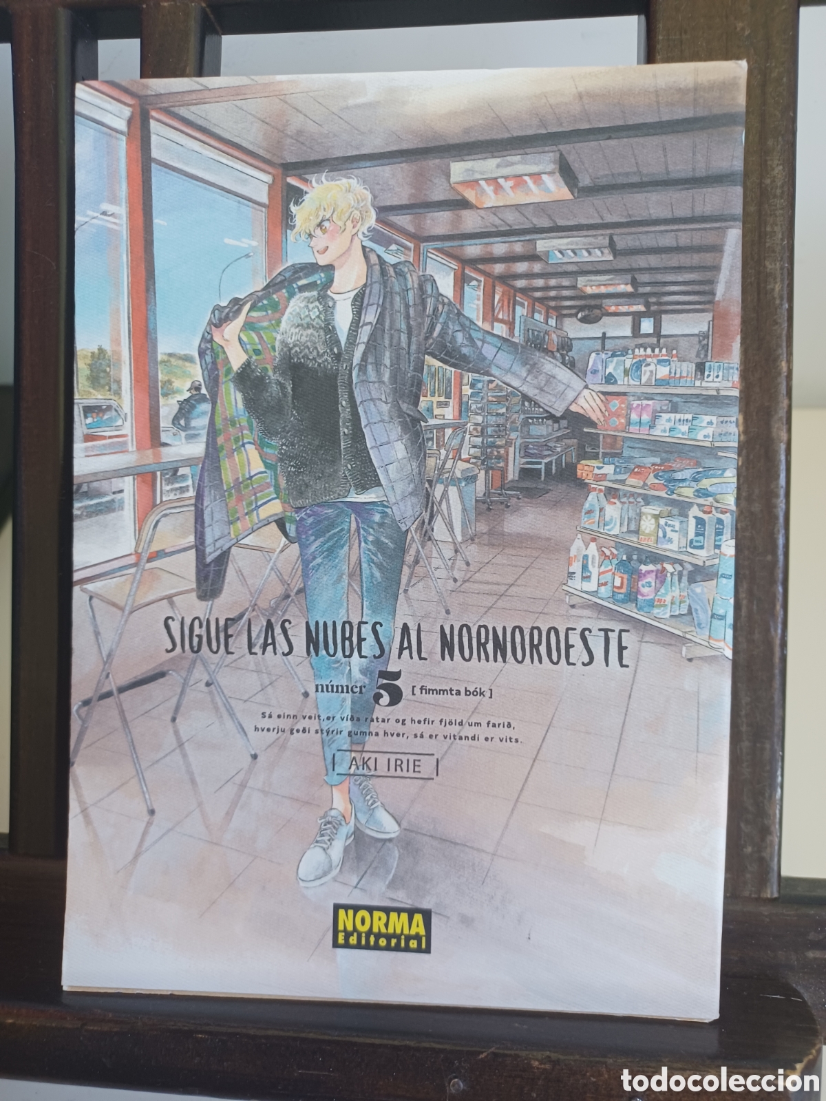 C&oacute;mics: Sigue las nubes al nornoroeste 5/ Aki Irie/ Seinen/ Norma/ NUEVO A ESTRENAR