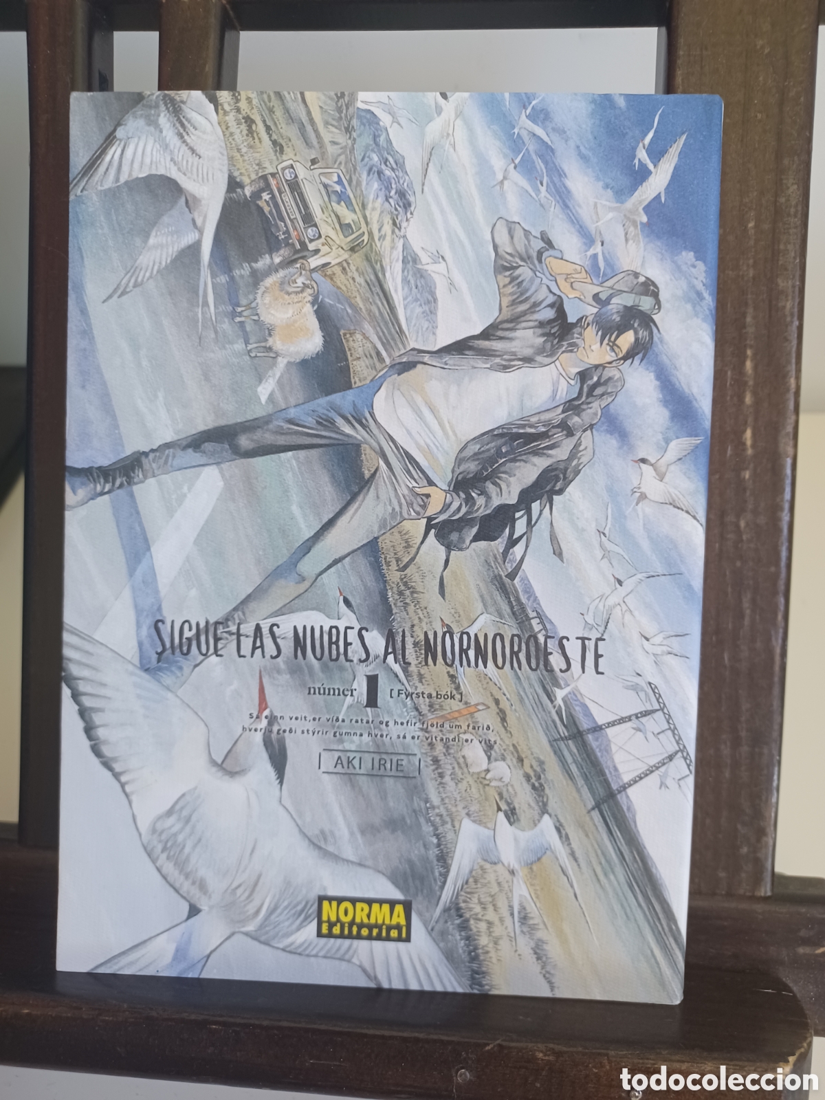 C&oacute;mics: Sigue las nubes al nornoroeste 1/ Aki Irie/ Seinen/ Norma/ NUEVO A ESTRENAR