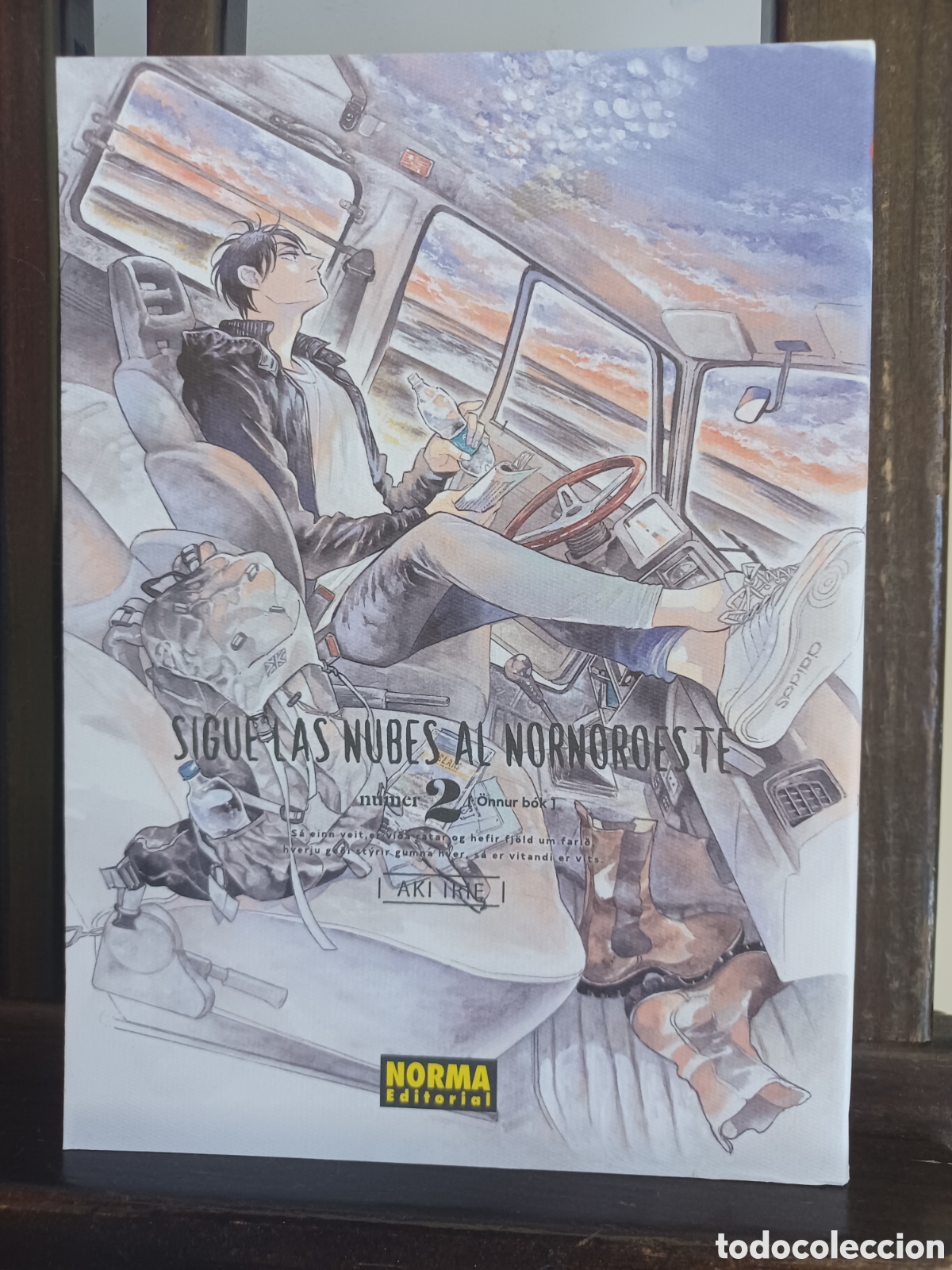 C&oacute;mics: Sigue las nubes al nornoroeste/ Aki Irie/ Seinen/ Norma/ NUEVO A ESTRENAR