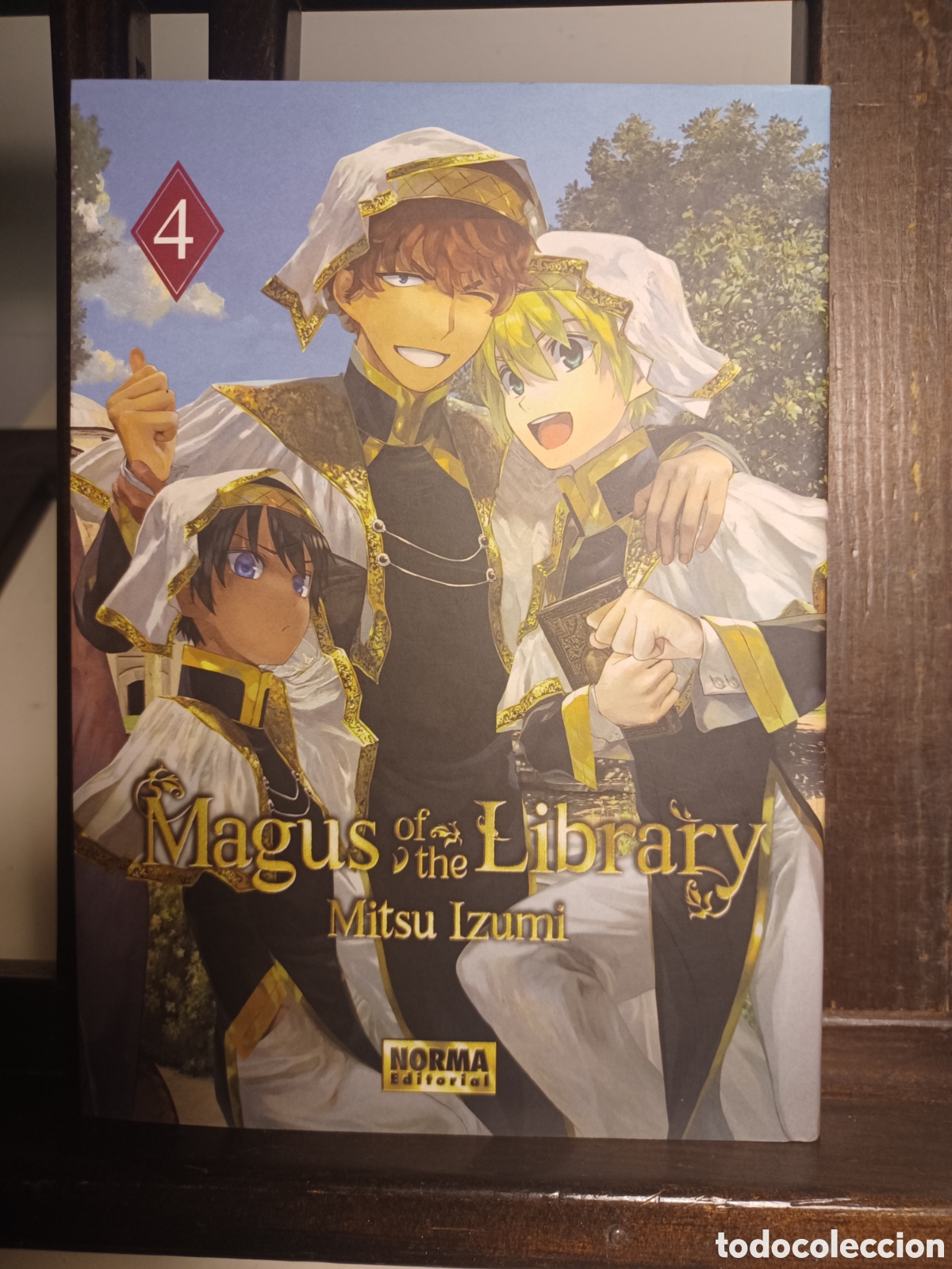C&oacute;mics: Magus of the library/ Mitsu Izumi/ Seinen/ Norma/ NUEVO A ESTRENAR
