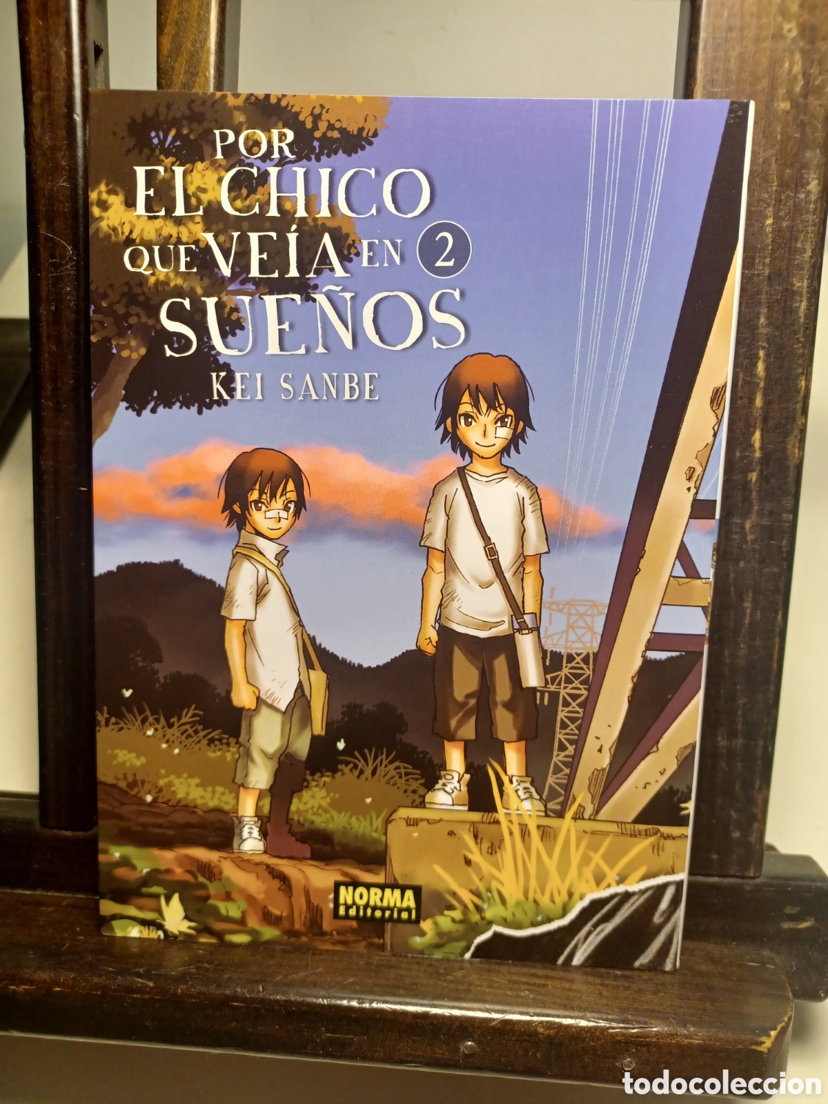 C&oacute;mics: Por el chico que ve&iacute;a en sue&ntilde;os 2/ Kein Sanbe/ Seinen/ Norma/ NUEVO A ESTRENAR