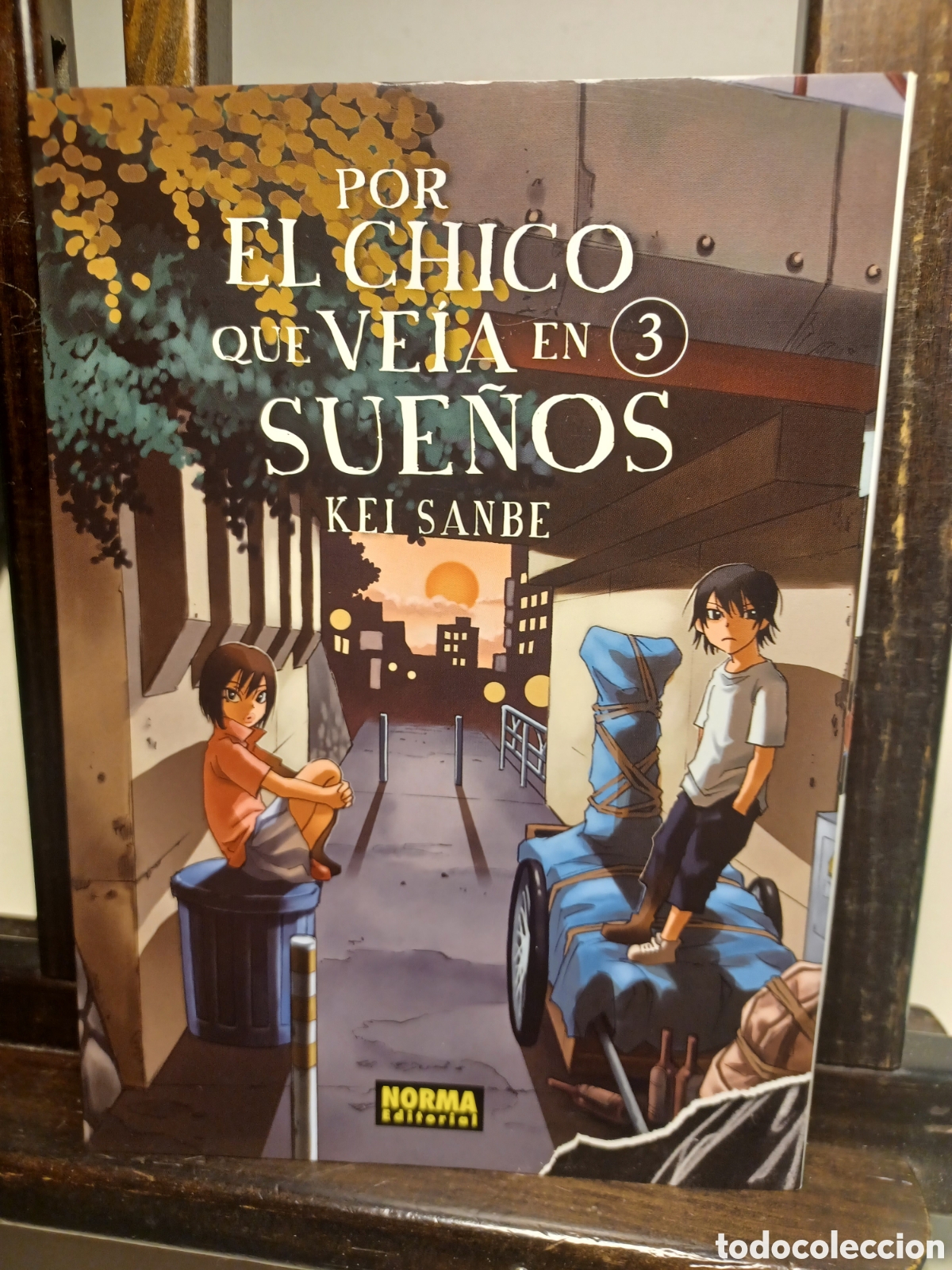 C&oacute;mics: Por el chico que ve&iacute;a en sue&ntilde;os 3/ Kei Sanbe/ Seinen/ Norma/ NUEVO A ESTRENAR