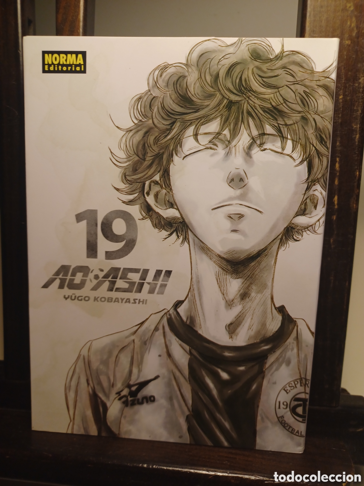 C&oacute;mics: Ao Ashi 19/ Yugo Kobayashi/ Seinen/ Norma/ NUEVO A ESTRENAR