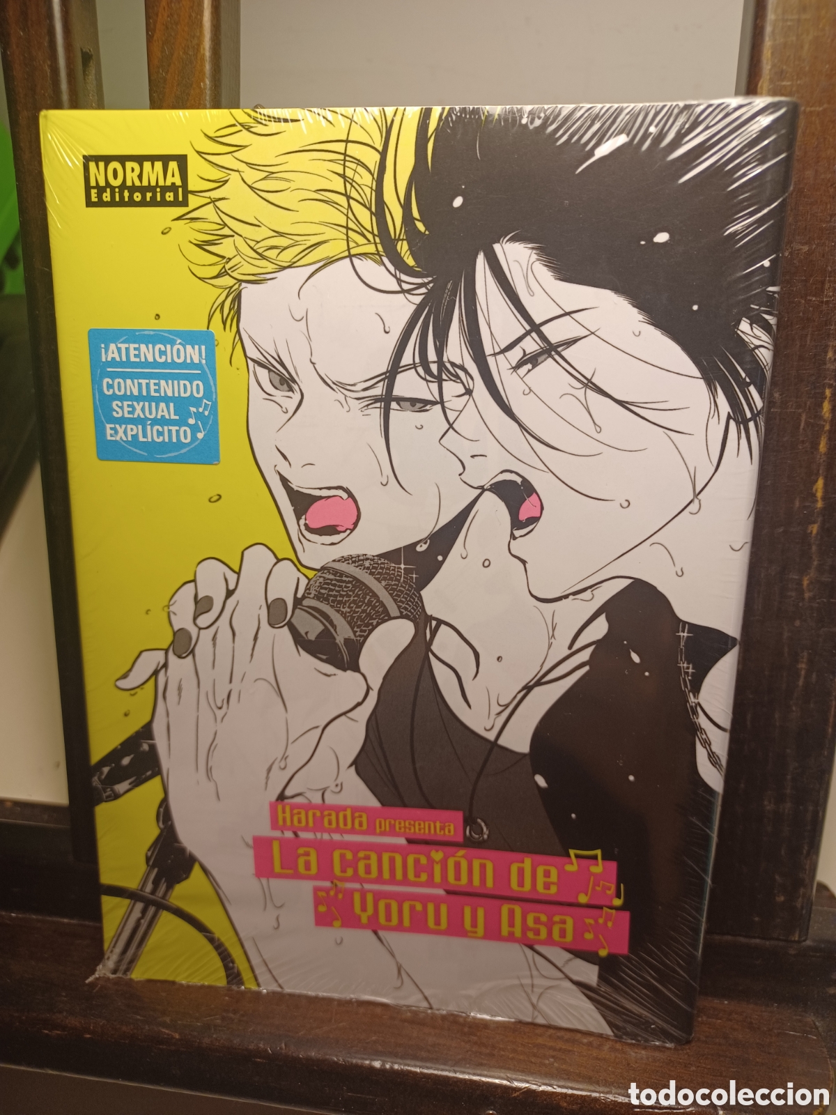 C&oacute;mics: La canci&oacute;n de Yoru y Asa. Historia completa/ Harada/ Manga BL/ Norma/ NUEVO PRECINTADO