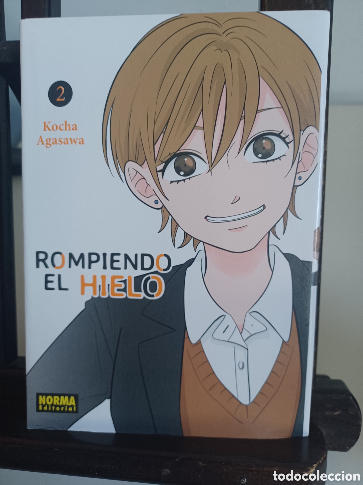 C&oacute;mics: Rompiendo el hielo 2/ Kocha Agasawa/ Shōjo/ Norma/ NUEVO A ESTRENAR