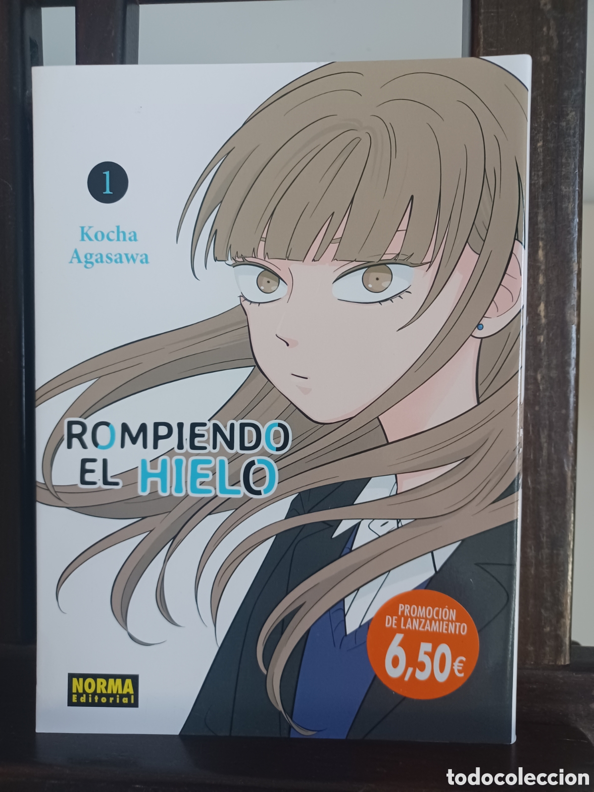 C&oacute;mics: Rompiendo el hielo 1/ Kocha Agasawa/ Shōjo/ Norma/ NUEVO A ESTRENAR