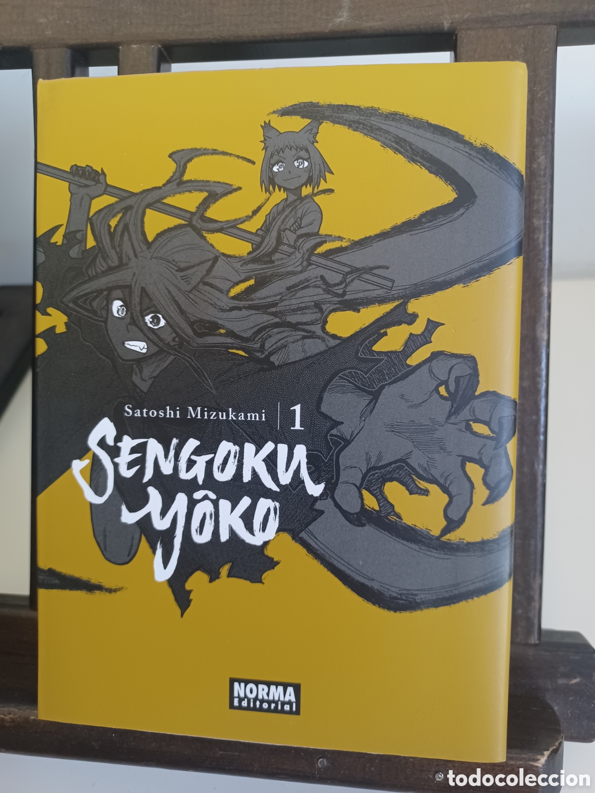 C&oacute;mics: Sengoku Yoko 1/ Satoshi Mizukami/ Shonen/ Norma/ NUEVO A ESTRENAR