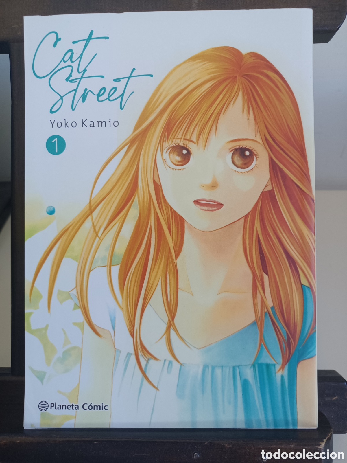 C&oacute;mics: Cat Street. Integral 1/ Yoko Kamio/ Shōjo/ Planeta/ NUEVO A ESTRENAR