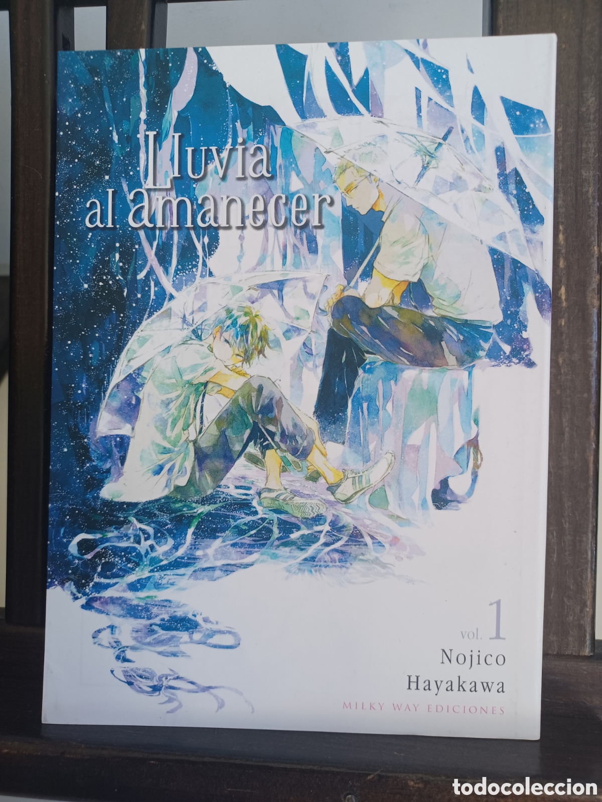 C&oacute;mics: Lluvia al amanecer 1 de 2/ Nojico Hayakawa/ Manga BL/ Milky Way/ NUEVO A ESTRENAR