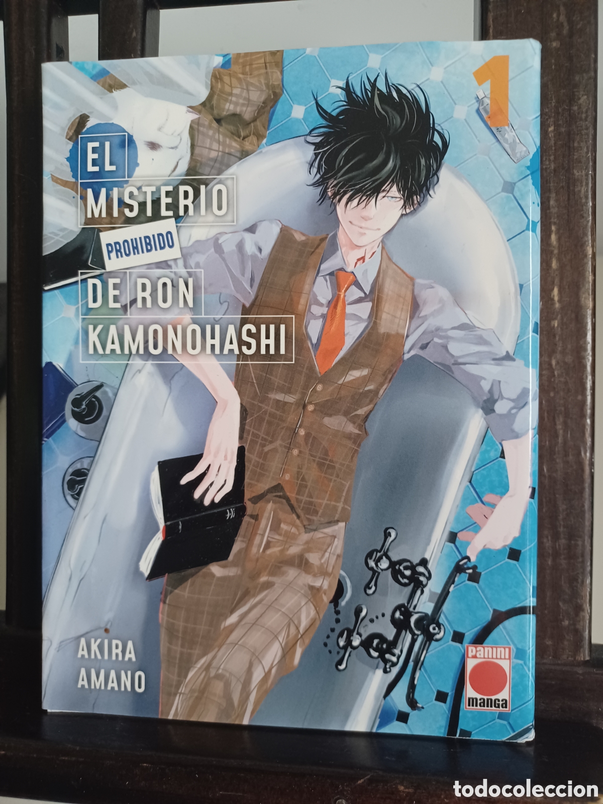 C&oacute;mics: El misterio prohibido de Ron Kamonohashi 1 de 19/ Akira Amano/ Shonen/ Panini/ NUEVO A ESTRENAR