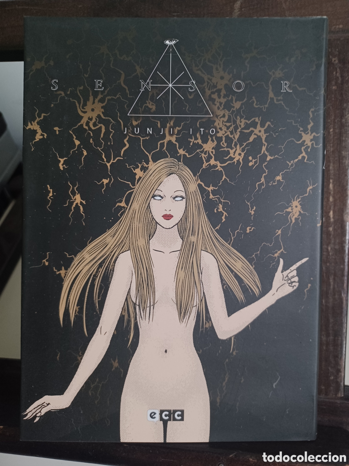 C&oacute;mics: Sensor (nueva edici&oacute;n)/ Junji Ito/ ECC/ NUEVO A ESTRENAR
