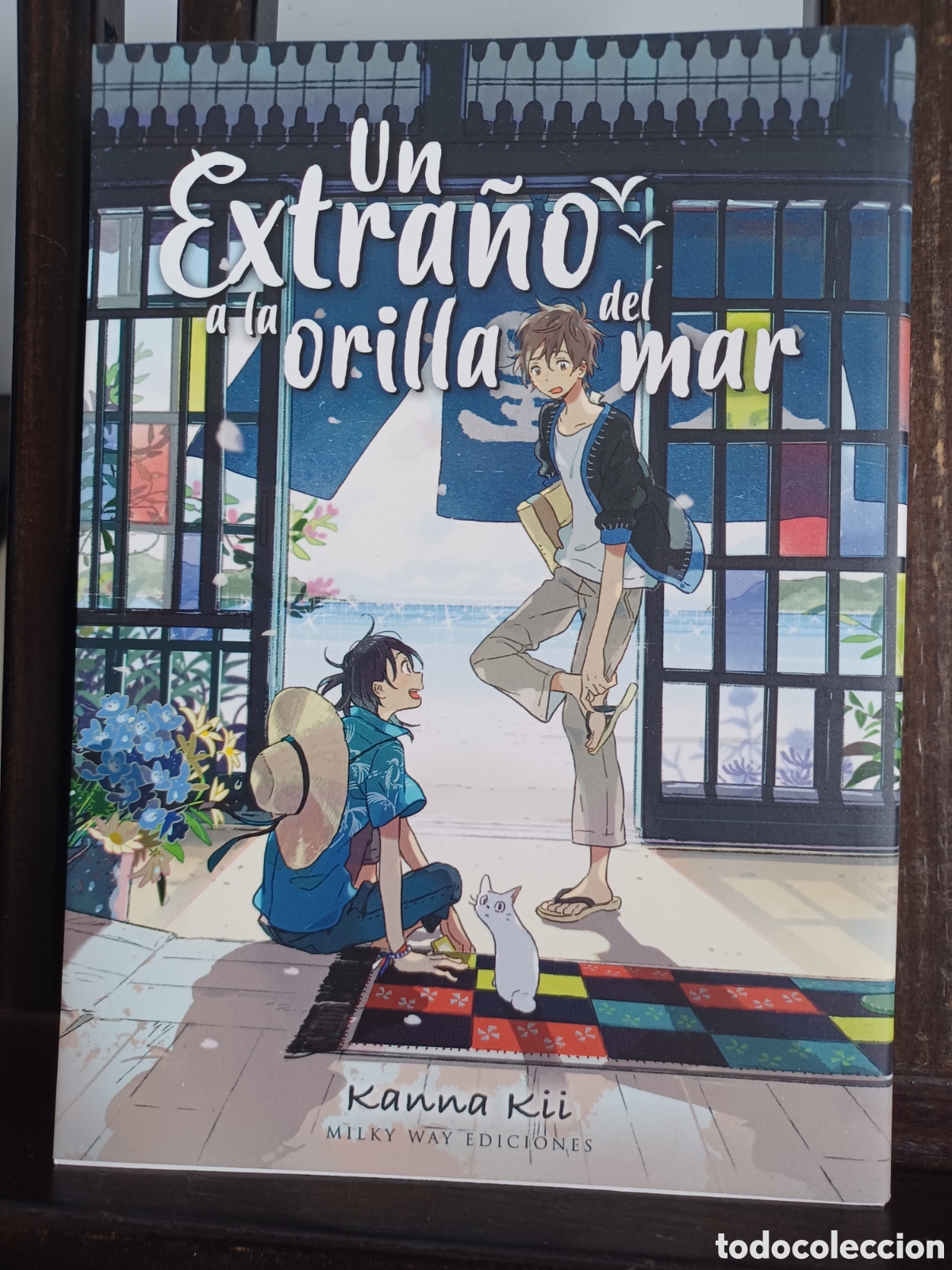 C&oacute;mics: Un extra&ntilde;o a la orilla del mar/ Tomo &uacute;nico/ Kanna Kii/ Manga BL/ Milky Way/ NUEVO A ESTRENAR