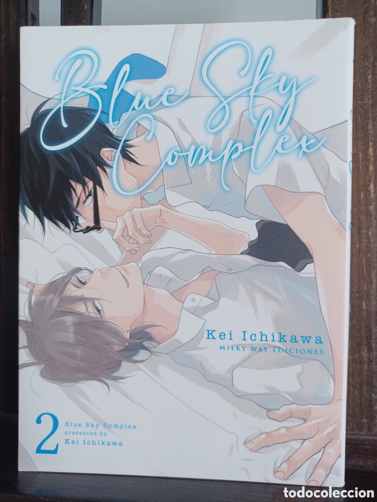C&oacute;mics: Blue Sky Complex 2/ Kei Ichikawa/ Manga BL/ Milky Way/ NUEVO A ESTRENAR