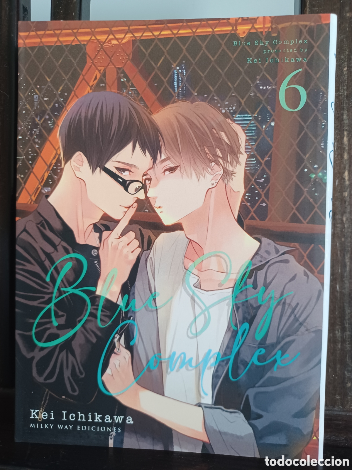 C&oacute;mics: Blue Sky Complex 6/ Kei Ichikawa/ Manga BL/ Excelente estado