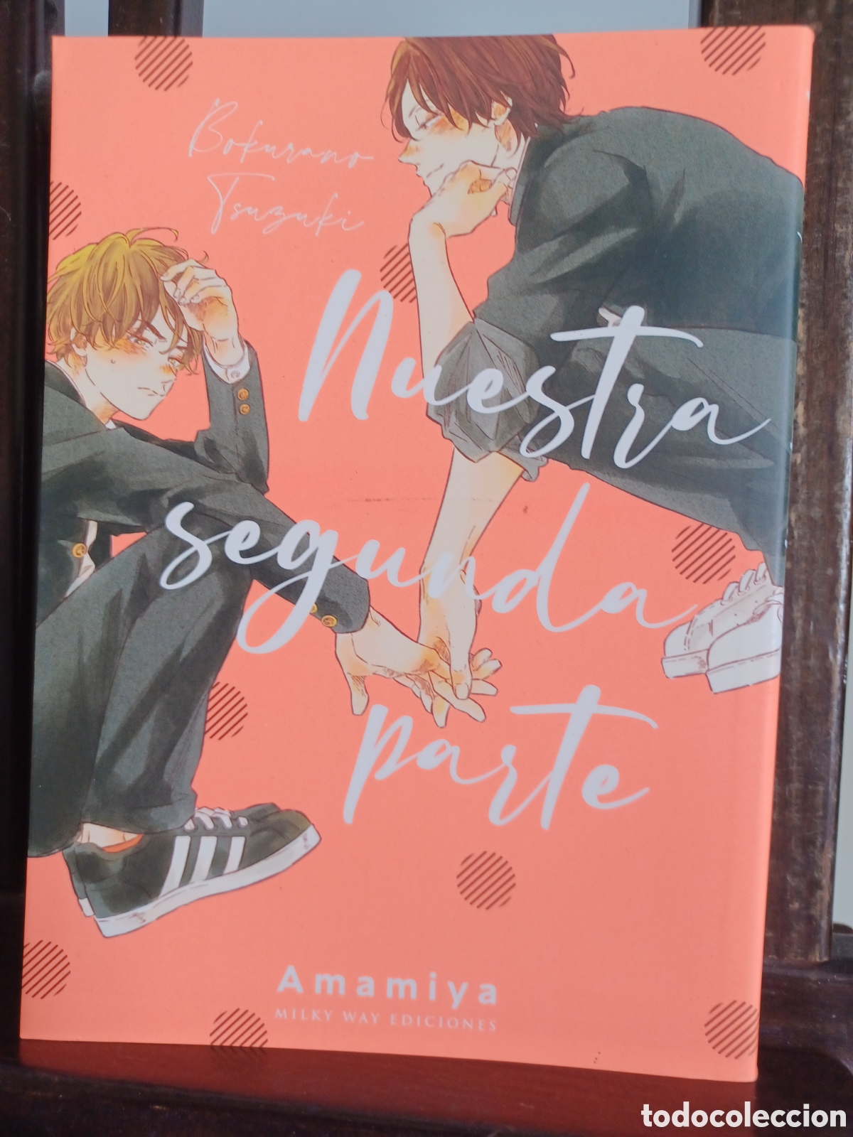 C&oacute;mics: Nuestra segunda parte/ Tomo &uacute;nico/ Amamiya/ Manga BL/ Milky Way/ NUEVO A ESTRENAR