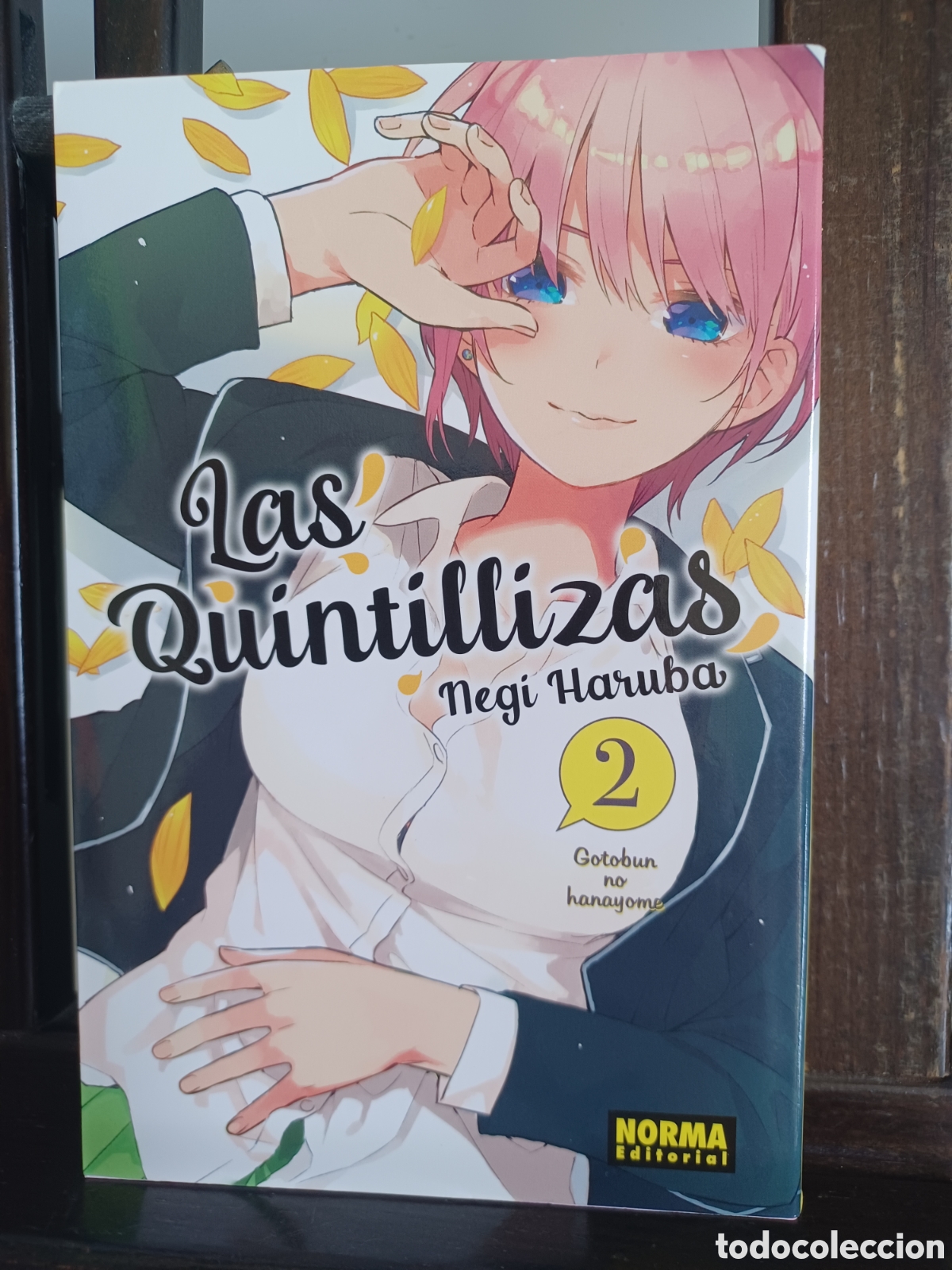 C&oacute;mics: Las quintillizas 2 de 14/ Negi Haruba/ Shonen/ Norma/ NUEVO A ESTRENAR